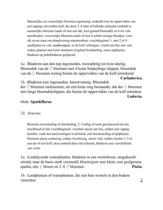 Carludovica.
Ludovia.
Pistia.
2
Mannelijke en vrouwelijke bloemen regelmatig verdeeld over de oppervlakte van
een sappige onvertakte kolf, die door 2–6 later afvallende scheeden omhuld is;
mannelijke bloemen naakt of met een dik, kort-getand bloemdek en 6 tot vele
meeldraden; vrouwelijke bloemen naakt of met 4 schubvormige blaadjes; voor
elk ervan staat een draadvormig staminodium; vruchtbeginsel 1, met 2 of 4
zaadlijsten en vele zaadknoppen, in de kolf verborgen; vrucht een bes met vele
zaden; planten met korte stammen of geheel kruidachtig, soms epiphyten;
bladeren op palmbladeren gelijkend.
1a. Bladeren aan den top ingesneden, tweespletig tot twee-deelig.
Bloemdek van de ♂ bloemen met 4 korte bladachtige slippen; bloemdek
van de ♀ bloemen weinig buiten de oppervlakte van de kolf uitstekend
1b. Bladeren niet ingesneden, lancetvormig. Bloemdek
der ♂ bloemen rudimentair, uit een korte ring bestaande; dat der ♀ bloemen
met lange bloemdekslippen, die buiten de oppervlakte van de kolf uitsteken
Orde: Spathiflorae.
23. Araceae.
Bloemen tweeslachtig of éénslachtig, 2–3-tallig of soms gereduceerd tot één
meeldraad of één vruchtbeginsel; vruchten meest een bes, zelden niet sappig;
kruiden, vaak met knolvormigen wortelstok, ook heesterachtig of epiphyten;
bloemen meest eenhuizig, zelden tweehuizig, meest vele, zelden slechts 2–3 in
een aar of een kolf, deze omhuld door één scheede; bladeren zeer verschillend
van vorm.
1a. Losdrijvende waterplanten; bladeren in een wortelroset, omgekeerd-
eirond, naar de basis sterk versmald; bloeiwijzen zeer klein, met geelgroene
spatha; één ♀ bloem en 2–8 ♂ bloemen
1b. Landplanten of waterplanten; die met hun wortels in den bodem
vastzitten
 