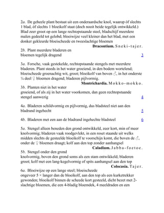 Dracontium. S n e k i - t a j e r.
3
Montrichardia. M o k k o - m o k k o .
4
5
6
Caladium. J a b b a - f o e t o e .
Colocasia. Ta j e r.
2a. De geheele plant bestaat uit een onderaardsche knol, waarop òf slechts
1 blad, òf slechts 1 bloeikolf staat (doch nooit beide tegelijk ontwikkeld.)
Blad zeer groot op een lange rechtopstaande steel, bladschijf meerdere
malen gedeeld tot gelobd; bloeiwijze veel kleiner dan het blad, met een
donker gekleurde bloeischeede en tweeslachtige bloemen
2b. Plant meerdere bladeren en
bloemen tegelijk dragend
3a. Forsche, vaak gestekelde, rechtopstaande stengels met meerdere
bladeren. Plant steeds in het water groeiend, in den bodem wortelend;
bloeischeede groenachtig wit, groot; bloeikolf van boven ♂, in het onderste
¼ deel ♀ bloemen dragend; bladeren pijlvormig.
3b. Planten niet in het water
groeiend, of als zij in het water voorkomen, dan geen rechtopstaande
stengel aanwezig
4a. Bladeren schildvormig en pijlvormig, dus bladsteel niet aan den
bladrand ingehecht
4b. Bladeren met een aan de bladrand ingehechte bladsteel
5a. Stengel alleen beneden den grond ontwikkeld, zeer kort, min of meer
knolvormig; bladeren vaak roodgevlekt, in een roset staande uit welks
midden slechts de gesteelde bloeikolf te voorschijn komt, die boven de ♂,
onder de ♀ bloemen draagt; kolf aan den top zonder aanhangsel
5b. Stengel onder den grond
knolvormig, boven den grond soms als een stam ontwikkeld; bladeren
groot; kolf met een lang-kegelvormig of spits aanhangsel aan den top
6a. Bloeiwijze op een lange steel; bloeischeede
ongeveer 5 × langer dan de bloeikolf, aan den top als een kurketrekker
gewonden; bloeikolf binnen de scheede kort gesteeld, dicht bezet met 2-
slachtige bloemen, die een 4-bladig bloemdek, 4 meeldraden en een
 