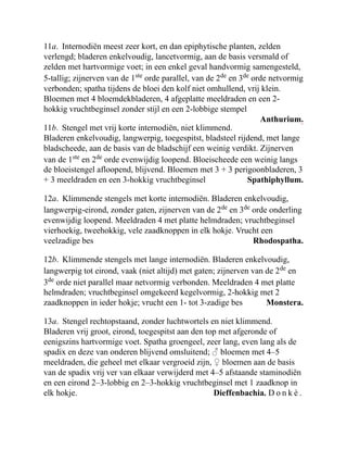 Anthurium.
Spathiphyllum.
Rhodospatha.
Monstera.
Dieffenbachia. D o n k è .
11a. Internodiën meest zeer kort, en dan epiphytische planten, zelden
verlengd; bladeren enkelvoudig, lancetvormig, aan de basis versmald of
zelden met hartvormige voet; in een enkel geval handvormig samengesteld,
5-tallig; zijnerven van de 1ste
orde parallel, van de 2de
en 3de
orde netvormig
verbonden; spatha tijdens de bloei den kolf niet omhullend, vrij klein.
Bloemen met 4 bloemdekbladeren, 4 afgeplatte meeldraden en een 2-
hokkig vruchtbeginsel zonder stijl en een 2-lobbige stempel
11b. Stengel met vrij korte internodiën, niet klimmend.
Bladeren enkelvoudig, langwerpig, toegespitst, bladsteel rijdend, met lange
bladscheede, aan de basis van de bladschijf een weinig verdikt. Zijnerven
van de 1ste
en 2de
orde evenwijdig loopend. Bloeischeede een weinig langs
de bloeistengel afloopend, blijvend. Bloemen met 3 + 3 perigoonbladeren, 3
+ 3 meeldraden en een 3-hokkig vruchtbeginsel
12a. Klimmende stengels met korte internodiën. Bladeren enkelvoudig,
langwerpig-eirond, zonder gaten, zijnerven van de 2de
en 3de
orde onderling
evenwijdig loopend. Meeldraden 4 met platte helmdraden; vruchtbeginsel
vierhoekig, tweehokkig, vele zaadknoppen in elk hokje. Vrucht een
veelzadige bes
12b. Klimmende stengels met lange internodiën. Bladeren enkelvoudig,
langwerpig tot eirond, vaak (niet altijd) met gaten; zijnerven van de 2de
en
3de
orde niet parallel maar netvormig verbonden. Meeldraden 4 met platte
helmdraden; vruchtbeginsel omgekeerd kegelvormig, 2-hokkig met 2
zaadknoppen in ieder hokje; vrucht een 1- tot 3-zadige bes
13a. Stengel rechtopstaand, zonder luchtwortels en niet klimmend.
Bladeren vrij groot, eirond, toegespitst aan den top met afgeronde of
eenigszins hartvormige voet. Spatha groengeel, zeer lang, even lang als de
spadix en deze van onderen blijvend omsluitend; ♂ bloemen met 4–5
meeldraden, die geheel met elkaar vergroeid zijn, ♀ bloemen aan de basis
van de spadix vrij ver van elkaar verwijderd met 4–5 afstaande staminodiën
en een eirond 2–3-lobbig en 2–3-hokkig vruchtbeginsel met 1 zaadknop in
elk hokje.
 