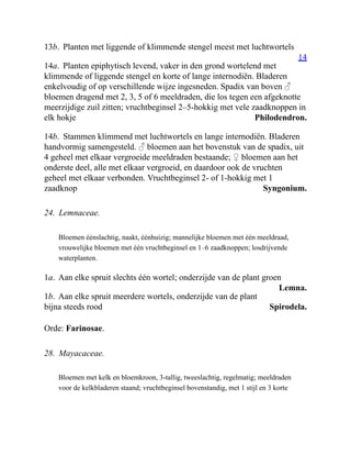 14
Philodendron.
Syngonium.
Lemna.
Spirodela.
13b. Planten met liggende of klimmende stengel meest met luchtwortels
14a. Planten epiphytisch levend, vaker in den grond wortelend met
klimmende of liggende stengel en korte of lange internodiën. Bladeren
enkelvoudig of op verschillende wijze ingesneden. Spadix van boven ♂
bloemen dragend met 2, 3, 5 of 6 meeldraden, die los tegen een afgeknotte
meerzijdige zuil zitten; vruchtbeginsel 2–5-hokkig met vele zaadknoppen in
elk hokje
14b. Stammen klimmend met luchtwortels en lange internodiën. Bladeren
handvormig samengesteld. ♂ bloemen aan het bovenstuk van de spadix, uit
4 geheel met elkaar vergroeide meeldraden bestaande; ♀ bloemen aan het
onderste deel, alle met elkaar vergroeid, en daardoor ook de vruchten
geheel met elkaar verbonden. Vruchtbeginsel 2- of 1-hokkig met 1
zaadknop
24. Lemnaceae.
Bloemen éénslachtig, naakt, éénhuizig; mannelijke bloemen met één meeldraad,
vrouwelijke bloemen met één vruchtbeginsel en 1–6 zaadknoppen; losdrijvende
waterplanten.
1a. Aan elke spruit slechts één wortel; onderzijde van de plant groen
1b. Aan elke spruit meerdere wortels, onderzijde van de plant
bijna steeds rood
Orde: Farinosae.
28. Mayacaceae.
Bloemen met kelk en bloemkroon, 3-tallig, tweeslachtig, regelmatig; meeldraden
voor de kelkbladeren staand; vruchtbeginsel bovenstandig, met 1 stijl en 3 korte
 