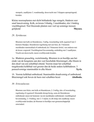 Mayaca.
Xyris.
Abolboda.
stempels; zaadlijsten 3, wandstandig; doosvrucht met 3 kleppen openspringend;
kruiden.
Kleine moerasplanten met dicht bebladerde lage stengels, bladeren zeer
smal lancetvormig. Kelk, en kroon 3-bladig, 3 meeldraden, één 1-hokkig
vruchtbeginsel. Niet bloeiende planten zeer veel op sommige mossen
gelijkend
29. Xyridaceae.
Bloemen met kelk en bloemkroon, 3-tallig, tweeslachtig; kelk zygomorf met 2
kleinere blaadjes; bloemkroon regelmatig met een buis; de 3 buitenste
meeldraden staminodiaal of ontbrekend; de 3 binnenste fertiel, van onderen met
de kroon vergroeid. Vruchtbeginsel bovenstandig, eenhokkig met 3 zaadlijsten.
Vrucht een doosvrucht; meest overblijvende kruiden.
1a. Bladeren grasachtig, wortelstandig. Bloemen in en hoofdje aan het
einde van de hoogstens aan den voet beschubde bloeistengel, elke bloem in
den oksel van een schutblad zittend. Voorste (naar het schutblad
toegekeerde) kelkblad veel grooter dan de beide andere kelkbladeren. 3
penseelvormige staminodiën in elke bloem
1b. Voorste kelkblad ontbrekend. Staminodiën draadvormig of ontbrekend.
Bloeistengel ook boven de basis met schubben bezet
30. Eriocaulaceae.
Bloemen zeer klein, met kelk en bloemkroon, 2–3-tallig, één- of tweeslachtig,
regelmatig of zygomorf; bloemdek droogvliezig, soms de bloemkroon
ontbrekend; meest de buitenste van de meeldraden ontbrekend; vruchtbeginsel
bovenstandig, 2–3-hokkig, met 2–3 stijlen; in elk hokje één zaadknop; meest
overblijvende kruiden; de bloemen in hoofdjes met gemeenschappelijk
omwindsel.
 