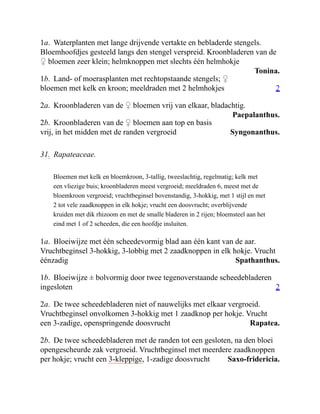 Tonina.
2
Paepalanthus.
Syngonanthus.
Spathanthus.
2
Rapatea.
Saxo-fridericia.
1a. Waterplanten met lange drijvende vertakte en bebladerde stengels.
Bloemhoofdjes gesteeld langs den stengel verspreid. Kroonbladeren van de
♀ bloemen zeer klein; helmknoppen met slechts één helmhokje
1b. Land- of moerasplanten met rechtopstaande stengels; ♀
bloemen met kelk en kroon; meeldraden met 2 helmhokjes
2a. Kroonbladeren van de ♀ bloemen vrij van elkaar, bladachtig.
2b. Kroonbladeren van de ♀ bloemen aan top en basis
vrij, in het midden met de randen vergroeid
31. Rapateaceae.
Bloemen met kelk en bloemkroon, 3-tallig, tweeslachtig, regelmatig; kelk met
een vliezige buis; kroonbladeren meest vergroeid; meeldraden 6, meest met de
bloemkroon vergroeid; vruchtbeginsel bovenstandig, 3-hokkig, met 1 stijl en met
2 tot vele zaadknoppen in elk hokje; vrucht een doosvrucht; overblijvende
kruiden met dik rhizoom en met de smalle bladeren in 2 rijen; bloemsteel aan het
eind met 1 of 2 scheeden, die een hoofdje insluiten.
1a. Bloeiwijze met één scheedevormig blad aan één kant van de aar.
Vruchtbeginsel 3-hokkig, 3-lobbig met 2 zaadknoppen in elk hokje. Vrucht
éénzadig
1b. Bloeiwijze ± bolvormig door twee tegenoverstaande scheedebladeren
ingesloten
2a. De twee scheedebladeren niet of nauwelijks met elkaar vergroeid.
Vruchtbeginsel onvolkomen 3-hokkig met 1 zaadknop per hokje. Vrucht
een 3-zadige, openspringende doosvrucht
2b. De twee scheedebladeren met de randen tot een gesloten, na den bloei
opengescheurde zak vergroeid. Vruchtbeginsel met meerdere zaadknoppen
per hokje; vrucht een 3-kleppige, 1-zadige doosvrucht
 