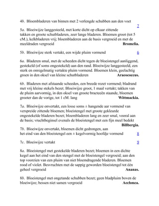 7
Bromelia.
6
Araeococcus.
Wittmackia.
Billbergia.
8
9
Ananas.
Aechmea.
4b. Bloembladeren van binnen met 2 verlengde schubben aan den voet
5a. Bloeiwijze langgesteeld, met korte dicht op elkaar zittende
takken en groote schutbladeren, zeer lange bladeren. Bloemen groot (tot 5
cM.), kelkbladeren vrij; bloembladeren aan de basis vergroeid en met de
meeldraden vergroeid
5b. Bloeiwijze sterk vertakt, een wijde pluim vormend
6a. Bladeren smal, met de scheeden dicht tegen de bloeistengel aanliggend,
gestekeld (of soms ongestekeld) aan den rand. Bloeiwijze langgesteeld, een
sterk en onregelmatig vertakte pluim vormend. Bloemen klein, geelachtig
groen in den oksel van kleine schutbladeren
6b. Bladeren met afstaande scheeden, een breede rozet vormend; bladrand
met vrij kleine stekels bezet. Bloeiwijze groot, 1 maal vertakt; takken van
de pluim aarvormig, in den oksel van groote bracteeën staande, bloemen
grooter dan de vorige, tot 1 cM. lang
7a. Bloeiwijze onvertakt, een losse soms ± hangende aar vormend van
verspreide zittende bloemen; bloeistengel met groote gekleurde
ongestekelde bladeren bezet; bloembladeren lang en zeer smal, vooral aan
de basis; vruchtbeginsel evenals de bloeistengel met een fijn meel bedekt
7b. Bloeiwijze onvertakt, bloemen dicht gedrongen, aan
het eind van den bloeistengel een ± kegelvormig hoofdje vormend
7c. Bloeiwijze vertakt
8a. Bloeistengel met gestekelde bladeren bezet; bloemen in een dichte
kegel aan het eind van den stengel met de bloeistengel vergroeid; aan den
top voorzien van een pluim van niet bloemdragende bladeren. Bloemen
rood of violet. Besvruchten met de sappig geworden bloeistengel tot één
geheel vergroeid
8b. Bloeistengel met ongetande schubben bezet; geen bladpluim boven de
bloeiwijze; bessen niet samen vergroeid
 