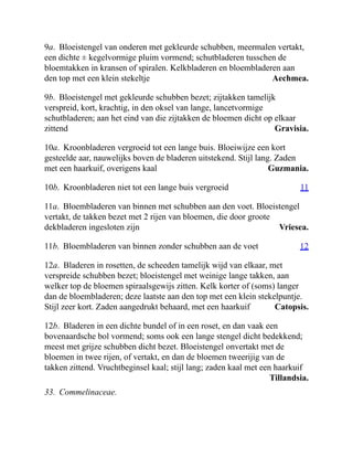 Aechmea.
Gravisia.
Guzmania.
11
Vriesea.
12
Catopsis.
Tillandsia.
9a. Bloeistengel van onderen met gekleurde schubben, meermalen vertakt,
een dichte ± kegelvormige pluim vormend; schutbladeren tusschen de
bloemtakken in kransen of spiralen. Kelkbladeren en bloembladeren aan
den top met een klein stekeltje
9b. Bloeistengel met gekleurde schubben bezet; zijtakken tamelijk
verspreid, kort, krachtig, in den oksel van lange, lancetvormige
schutbladeren; aan het eind van die zijtakken de bloemen dicht op elkaar
zittend
10a. Kroonbladeren vergroeid tot een lange buis. Bloeiwijze een kort
gesteelde aar, nauwelijks boven de bladeren uitstekend. Stijl lang. Zaden
met een haarkuif, overigens kaal
10b. Kroonbladeren niet tot een lange buis vergroeid
11a. Bloembladeren van binnen met schubben aan den voet. Bloeistengel
vertakt, de takken bezet met 2 rijen van bloemen, die door groote
dekbladeren ingesloten zijn
11b. Bloembladeren van binnen zonder schubben aan de voet
12a. Bladeren in rosetten, de scheeden tamelijk wijd van elkaar, met
verspreide schubben bezet; bloeistengel met weinige lange takken, aan
welker top de bloemen spiraalsgewijs zitten. Kelk korter of (soms) langer
dan de bloembladeren; deze laatste aan den top met een klein stekelpuntje.
Stijl zeer kort. Zaden aangedrukt behaard, met een haarkuif
12b. Bladeren in een dichte bundel of in een roset, en dan vaak een
bovenaardsche bol vormend; soms ook een lange stengel dicht bedekkend;
meest met grijze schubben dicht bezet. Bloeistengel onvertakt met de
bloemen in twee rijen, of vertakt, en dan de bloemen tweerijig van de
takken zittend. Vruchtbeginsel kaal; stijl lang; zaden kaal met een haarkuif
33. Commelinaceae.
 