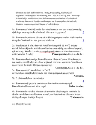 2
3
Phaeospherion. G a d o - d è d è .
Commelina. G a d o - d è d è .
Aneilema.
4
Dichorisandra.
Tradescantia.
Bloemen met kelk en bloemkroon, 3-tallig, tweeslachtig, regelmatig of
zygomorf; vruchtbeginsel bovenstandig, met 1 stijl; 3–2-hokkig, met 1 zaadknop
in ieder hokje; meeldraden 6, een deel ervan vaak staminodiaal of ontbrekend;
vrucht een doosvrucht; kruiden met knoopen aan den stengel en afwisselende
bladeren; bloemen meest met blauwe of violette kroon.
1a. Bloemen of bloeiwijzen in den oksel staande van een scheedevormig,
zijdelings samengedrukt schutblad; bloemen ± zygomorf
1b. Bloemen in pluimen of aren of in kleine groepen aan het eind van den
stengel of in den oksel van gewone bladeren
2a. Meeldraden 5 of 6, daarvan 3 stuifmeeldragend, de 3 of 2 andere
steriel; helmhokjes der steriele meeldraden evenwijdig met elkaar loopend,
spiesvormig. Vrucht een niet openspringende doosvrucht met een dunne
witte wand en 5 zaden
2b. Bloemen als de vorige, bloembladeren blauw of paars. Helmknoppen
der steriele meeldraden uit elkaar wijkend, een kruis vormend. Vrucht een
doosvrucht, die met 3 kleppen openspringt
3a. Bloemen met 3 vruchtbare en 2 of 3
onvruchtbare meeldraden; vrucht een openspringende doosvrucht
3b. 5 of 6 vruchtbare meeldraden
4a. Bloemen vrij groot in trossen aan het einde van den stengel.
Bloembladen blauw met witte nagel
4b. Bloemen in vertakte pluimen of meerdere bloeistengels samen in de
oksels van de bovenste bladeren staand, aan het einde de bloemen in een
dicht gedrongen hoofdje dragend
34. Pontederiaceae.
 