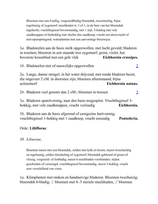Eichhornia crassipes.
2
Eichhornia natans.
3
Eichhornia.
Pontederia.
Bloemen met een 6-tallig, vergroeidbladig bloemdek, tweeslachtig, bijna
regelmatig of zygomorf; meeldraden 6, 3 of 1, in de buis van het bloemdek
ingehecht; vruchtbeginsel bovenstandig, met 1 stijl, 3-hokkig met vele
zaadknoppen of éénhokkig met slechts één zaadknop; vrucht een doosvrucht of
niet-openspringend; waterplanten met een aarvormige bloeiwijze.
1a. Bladsteelen aan de basis sterk opgezwollen, met lucht gevuld; bladeren
in rosetten; bloemen in een staande tros zygomorf, groot, violet, het
bovenste kroonblad met een gele vlek
1b. Bladsteelen niet of nauwelijks opgezwollen
2a. Lange, dunne stengel, in het water drijvend, met ronde bladeren bezet,
die ongeveer 2 cM. in doorsnee zijn; bloemen alleenstaand, bijna
actinomorf
2b. Bladeren veel grooter dan 2 cM.; bloemen in trossen
3a. Bladeren spatelvormig, naar den basis toegespitst. Vruchtbeginsel 3-
hokkig, met vele zaadknoppen, vrucht veelzadig
3b. Bladeren aan de basis afgerond of eenigszins hartvormig;
vruchtbeginsel 1-hokkig met 1 zaadknop, vrucht eenzadig
Orde: Liliiflorae.
38. Liliaceae.
Bloemen meest met een bloemdek, zelden met kelk en kroon; meest tweeslachtig
en regelmatig, zelden éénslachtig of zygomorf; bloemdek gekleurd of groen of
vliezig, vergroeid- of losbladig; meest 6 meeldraden voorhanden; stijlen
gescheiden of vereenigd; vruchtbeginsel bovenstandig, meest 3-hokkig; vrucht
zeer verschillend van vorm.
1a. Klimplanten met ranken en handnervige bladeren. Bloemen tweehuizig;
bloemdek 6-bladig; ♀ bloemen met 6–3 steriele meeldraden, ♂ bloemen
 