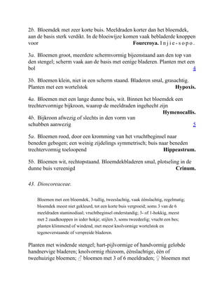 Fourcroya. I n j i e - s o p o .
4
Hypoxis.
Hymenocallis.
5
Hippeastrum.
Crinum.
2b. Bloemdek met zeer korte buis. Meeldraden korter dan het bloemdek,
aan de basis sterk verdikt. In de bloeiwijze komen vaak bebladerde knoppen
voor
3a. Bloemen groot, meerdere schermvormig bijeenstaand aan den top van
den stengel; scherm vaak aan de basis met eenige bladeren. Planten met een
bol
3b. Bloemen klein, niet in een scherm staand. Bladeren smal, grasachtig.
Planten met een wortelstok
4a. Bloemen met een lange dunne buis, wit. Binnen het bloemdek een
trechtervormige bijkroon, waarop de meeldraden ingehecht zijn
4b. Bijkroon afwezig of slechts in den vorm van
schubben aanwezig
5a. Bloemen rood, door een kromming van het vruchtbeginsel naar
beneden gebogen; een weinig zijdelings symmetrisch; buis naar beneden
trechtervormig toeloopend
5b. Bloemen wit, rechtopstaand. Bloemdekbladeren smal, plotseling in de
dunne buis vereenigd
43. Dioscoreaceae.
Bloemen met een bloemdek, 3-tallig, tweeslachtig, vaak éénslachtig, regelmatig;
bloemdek meest niet gekleurd, tot een korte buis vergroeid; soms 3 van de 6
meeldraden staminodiaal; vruchtbeginsel onderstandig; 3- of 1-hokkig, meest
met 2 zaadknoppen in ieder hokje; stijlen 3, soms tweedeelig; vrucht een bes;
planten klimmend of windend, met meest knolvormige wortelstok en
tegenoverstaande of verspreide bladeren.
Planten met windende stengel; hart-pijlvormige of handvormig gelobde
handnervige bladeren; knolvormig rhizoom, éénslachtige, één of
tweehuizige bloemen; ♂ bloemen met 3 of 6 meeldraden; ♀ bloemen met
 