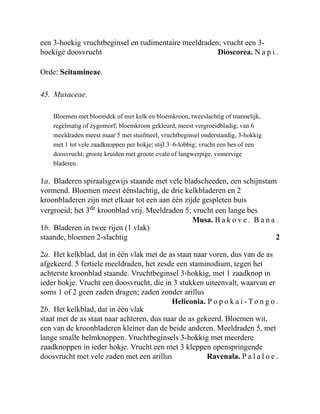 Dioscorea. N a p i .
Musa. B a k o v e . B a n a .
2
Heliconia. P o p o k a i - To n g o .
Ravenala. P a l a l o e .
een 3-hoekig vruchtbeginsel en rudimentaire meeldraden; vrucht een 3-
hoekige doosvrucht
Orde: Scitamineae.
45. Musaceae.
Bloemen met bloemdek of met kelk en bloemkroon, tweeslachtig of mannelijk,
regelmatig of zygomorf; bloemkroon gekleurd, meest vergroeidbladig; van 6
meeldraden meest maar 5 met stuifmeel, vruchtbeginsel onderstandig, 3-hokkig
met 1 tot vele zaadknoppen per hokje; stijl 3–6-lobbig; vrucht een bes of een
doosvrucht; groote kruiden met groote ovale of langwerpige, vinnervige
bladeren.
1a. Bladeren spiraalsgewijs staande met vele bladscheeden, een schijnstam
vormend. Bloemen meest éénslachtig, de drie kelkbladeren en 2
kroonbladeren zijn met elkaar tot een aan één zijde gespleten buis
vergroeid; het 3de
kroonblad vrij. Meeldraden 5; vrucht een lange bes
1b. Bladeren in twee rijen (1 vlak)
staande, bloemen 2-slachtig
2a. Het kelkblad, dat in één vlak met de as staat naar voren, dus van de as
afgekeerd. 5 fertiele meeldraden, het zesde een staminodium, tegen het
achterste kroonblad staande. Vruchtbeginsel 3-hokkig, met 1 zaadknop in
ieder hokje. Vrucht een doosvrucht, die in 3 stukken uiteenvalt, waarvan er
soms 1 of 2 geen zaden dragen; zaden zonder arillus
2b. Het kelkblad, dat in één vlak
staat met de as staat naar achteren, dus naar de as gekeerd. Bloemen wit,
een van de kroonbladeren kleiner dan de beide anderen. Meeldraden 5, met
lange smalle helmknoppen. Vruchtbeginsels 3-hokkig met meerdere
zaadknoppen in ieder hokje. Vrucht een met 3 kleppen openspringende
doosvrucht met vele zaden met een arillus
 