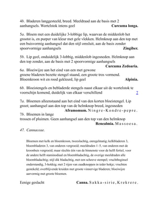 Curcuma longa.
Zingiber.
Curcuma Zedoaria.
Alpinia.
7
Aframomum. N i n g r e - K o n d r e - p e p r e .
Renealmia. M a s s o e s a .
Canna. S a k k a - s i r i e , K r e k r e r e .
4b. Bladeren langgesteeld, breed. Meeldraad aan de basis met 2
aanhangsels. Wortelstok intens geel
5a. Bloem met een duidelijke 3-lobbige lip, waarvan de middenlob het
grootst is, en purper van kleur met gele vlekken. Helmknop aan den top met
een buisvormig aanhangsel dat den stijl omsluit, aan de basis zonder
spoorvormige aanhangsels
5b. Lip geel, onduidelijk 3-lobbig, middenlob ingesneden. Helmknop aan
den top zonder, aan de basis met 2 spoorvormige aanhangsels
6a. Bloeiwijze aan het eind van een met gewone
groene bladeren bezette stengel staand, een groote tros vormend.
Bloemkroon wit en rood gekleurd, lip geel
6b. Bloeistengels en bebladerde stengels naast elkaar uit de wortelstok te
voorschijn komend, duidelijk van elkaar verschillend
7a. Bloemen alleenstaand aan het eind van den korten bloeistengel. Lip
groot; aanhangsel aan den top van de helmknop breed, ingesneden
7b. Bloemen in lange
trossen of pluimen. Geen aanhangsel aan den top van den helmknop
47. Cannaceae.
Bloemen met kelk en bloemkroon, tweeslachtig, onregelmatig; kelkbladeren 3,
bloembladeren 3, van onderen vergroeid; meeldraden 1–5, van onderen met de
kroonbuis vergroeid; maar slechts één van de binnenste voor de helft fertiel, voor
de andere helft staminodiaal en bloembladachtig, de overige meeldraden alle
bloembladachtig; stijl dik bladachtig, met een scheeve stempel; vruchtbeginsel
onderstandig, 3-hokkig; met 2 rijen van zaadknoppen in ieder hokje; vruchten
gestekeld; overblijvende kruiden met groote vinnervige bladeren; bloeiwijze
aarvormig met groote bloemen.
Eenige geslacht
 
