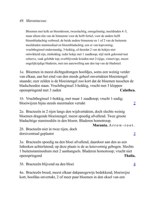 Calathea.
2
Maranta. A r r o w - r o o t .
3
Thalia.
4
48. Marantaceae.
Bloemen met kelk en bloemkroon, tweeslachtig, onregelmatig; meeldraden 4–5,
maar alleen één van de binnenste voor de helft fertiel, voor de andere helft
bloembladachtig verbreed; de beide andere binnenste en 1 of 2 van de buitenste
meeldraden staminodiaal en bloembladachtig; een er van kapvormig;
vruchtbeginsel onderstandig, 3-hokkig, of doordat 2 van de hokjes niet
ontwikkeld zijn, éénhokkig; ieder hokje met 1 zaadknop; stijl sterk gekromd met
scheeve, vaak gelobde top; overblijvende kruiden met 2-rijige, vinnervige, meest
ongelijkzijdige bladeren, met een aanzwelling aan den top van de bladsteel.
1a. Bloemen in meest dichtgedrongen hoofdjes, soms een weinig verder
van elkaar, aan het eind van den steeds geheel onvertakten bloeistengel
staande; zeer zelden is de bloeistengel zoo kort dat de bloemen tusschen de
bladscheeden staan. Vruchtbeginsel 3-hokkig, vrucht met 3 kleppen
openspringend met 3 zaden
1b. Vruchtbeginsel 1-hokkig, met maar 1 zaadknop; vrucht 1-zadig;
bloeiwijzen bijna steeds meermalen vertakt
2a. Bracteeën in 2 rijen langs den wijdvertakten, doch slechts weinig
bloemen dragende bloeistengel, meest spoedig afvallend. Twee groote
bladachtige staminodiën in den bloem. Bladeren homotroop.
2b. Bracteeën niet in twee rijen, doch
dorsiventraal geplaatst
3a. Bracteeën spoedig na den bloei afvallend, daardoor aan den as een
lidteeken achterlatend; op deze plaats is de as knievormig gebogen. Slechts
1 buitenstaminodium met 2 aanhangsels. Bladeren homotroop; vrucht niet
openspringend
3b. Bracteeën blijvend na den bloei
4a. Bracteeën breed, meest elkaar dakpansgewijs bedekkend, bloeiwijze
kort, hoofdas onvertakt, 2 of meer paar bloemen in den oksel van een
 