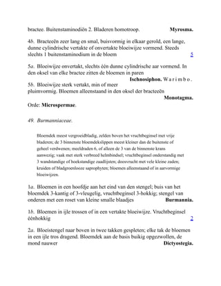 Myrosma.
5
Ischnosiphon. Wa r i m b o .
Monotagma.
Burmannia.
2
Dictyostegia.
bractee. Buitenstaminodiën 2. Bladeren homotroop.
4b. Bracteeën zeer lang en smal, buisvormig in elkaar gerold, een lange,
dunne cylindrische vertakte of onvertakte bloeiwijze vormend. Steeds
slechts 1 buitenstaminodium in de bloem
5a. Bloeiwijze onvertakt, slechts één dunne cylindrische aar vormend. In
den oksel van elke bractee zitten de bloemen in paren
5b. Bloeiwijze sterk vertakt, min of meer
pluimvormig. Bloemen alleenstaand in den oksel der bracteeën
Orde: Microspermae.
49. Burmanniaceae.
Bloemdek meest vergroeidbladig, zelden boven het vruchtbeginsel met vrije
bladeren; de 3 binnenste bloemdekslippen meest kleiner dan de buitenste of
geheel verdwenen; meeldraden 6, of alleen de 3 van de binnenste krans
aanwezig; vaak met sterk verbreed helmbindsel; vruchtbeginsel onderstandig met
3 wandstandige of hoekstandige zaadlijsten; doosvrucht met vele kleine zaden;
kruiden of bladgroenlooze saprophyten; bloemen alleenstaand of in aarvormige
bloeiwijzen.
1a. Bloemen in een hoofdje aan het eind van den stengel; buis van het
bloemdek 3-kantig of 3-vleugelig, vruchtbeginsel 3-hokkig; stengel van
onderen met een roset van kleine smalle blaadjes
1b. Bloemen in ijle trossen of in een vertakte bloeiwijze. Vruchtbeginsel
éénhokkig
2a. Bloeistengel naar boven in twee takken gespleten; elke tak de bloemen
in een ijle tros dragend. Bloemdek aan de basis buikig opgezwollen, de
mond nauwer
 