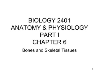 BIOLOGY 2401
ANATOMY & PHYSIOLOGY
       PART I
     CHAPTER 6
  Bones and Skeletal Tissues



                               1
 