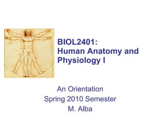 BIOL2401:  Human Anatomy and Physiology I An Orientation Spring 2010 Semester M. Alba 