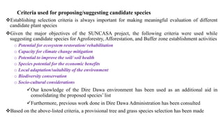 Dawa Tree 240212 SUNCASA Dire Dawa Integrated Assessment Planning Workshop PPT.pdf