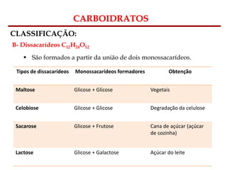 Bioquímica Celular – Prof. Júnior
CARBOIDRATOS
CLASSIFICAÇÃO:
B- Dissacarídeos C12H24O12
 São formados a partir da união de dois monossacarídeos.
Tipos de dissacarídeos Monossacarídeos formadores Obtenção
Maltose Glicose + Glicose Vegetais
Celobiose Glicose + Glicose Degradação da celulose
Sacarose Glicose + Frutose Cana de açúcar (açúcar
de cozinha)
Lactose Glicose + Galactose Açúcar do leite
 