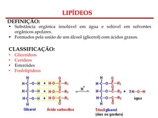 Bioquímica Celular – Prof. Júnior
LIPÍDEOS
DEFINIÇÃO:
 Substância orgânica insolúvel em água e solúvel em solventes
orgânicos apolares.
 Formados pela união de um álcool (glicerol) com ácidos graxos.
CLASSIFICAÇÃO:
• Glicerídeos
• Cerídeos
• Esteróides
• Fosfolípideos
 
