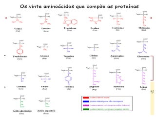 Bioquímica Celular – Prof. Júnior
PROTEÍNAS
CARACTERÍSTICAS
 São macromoléculas orgânicas de alto peso molecular constituídas
por unidades ou monômeros denominados aminoácidos.
 Os aminoácidos estão ligados entre si por ligações peptídicas.
 