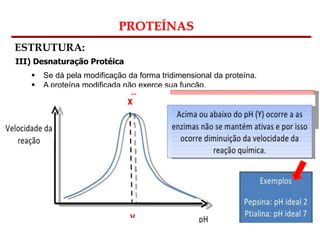 Bioquímica Celular – Prof. Júnior
PROTEÍNAS
ESTRUTURA:
III) Desnaturação Protéica
 Se dá pela modificação da forma tridimensional da proteína.
 A proteína modificada não exerce sua função.
Fatores:
 Temperaturas elevadas
 Mudanças de pH
 Detergentes químicos
 Solventes orgânicos
 