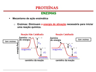 Bioquímica Celular – Prof. Júnior
PROTEÍNAS
ENZIMAS
 Mecanismo de ação enzimática
o Enzimas: Diminuem a energia de ativação necessária para iniciar
uma reação química.
Sem enzimas
Com enzimas
 