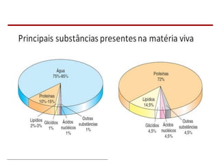 Bioquímica Celular – Prof. Júnior
 