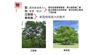 物
:
星: 通常象徵偉人
杖: 象徵“統治”
沉香樹
香柏樹 都是樹身高大的樹木
沉香樹 香柏樹
星和杖都預表基督。馬太福音第二章，
當主耶穌出生的時候，東方的博士看見
了祂的星
 