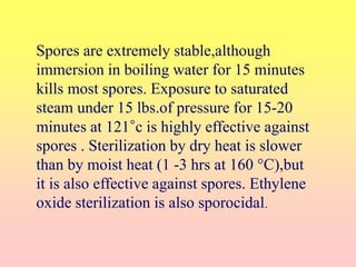 Spores are extremely stable,although
immersion in boiling water for 15 minutes
kills most spores. Exposure to saturated
steam under 15 lbs.of pressure for 15-20
minutes at 121°c is highly effective against
spores . Sterilization by dry heat is slower
than by moist heat (1 -3 hrs at 160 °C),but
it is also effective against spores. Ethylene
oxide sterilization is also sporocidal.
 