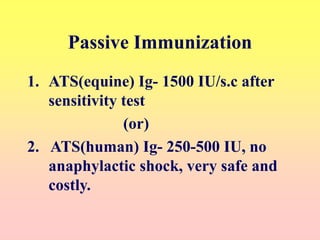 Passive Immunization
1. ATS(equine) Ig- 1500 IU/s.c after
sensitivity test
(or)
2. ATS(human) Ig- 250-500 IU, no
anaphylactic shock, very safe and
costly.
 