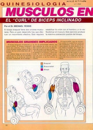 Muscle & Fitness Kinesiologia