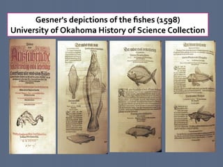 Science Gesner Zoology and history , genesis of biology | PDF