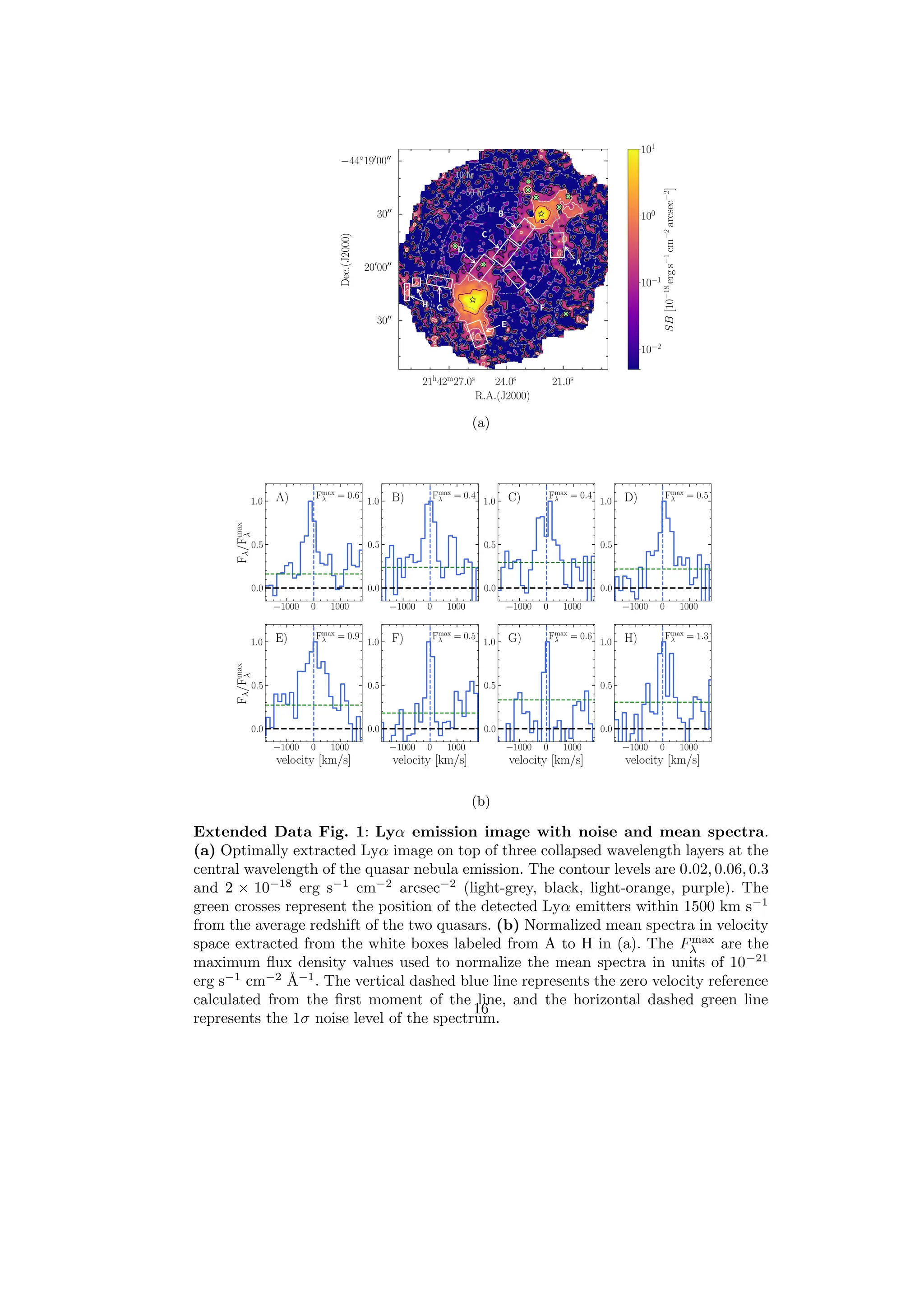 (a)
(b)
Extended Data Fig. 1: Lyα emission image with noise and mean spectra.
(a) Optimally extracted Lyα image on top of three collapsed wavelength layers at the
central wavelength of the quasar nebula emission. The contour levels are 0.02, 0.06, 0.3
and 2 × 10−18
erg s−1
cm−2
arcsec−2
(light-grey, black, light-orange, purple). The
green crosses represent the position of the detected Lyα emitters within 1500 km s−1
from the average redshift of the two quasars. (b) Normalized mean spectra in velocity
space extracted from the white boxes labeled from A to H in (a). The Fmax
λ are the
maximum flux density values used to normalize the mean spectra in units of 10−21
erg s−1
cm−2
Å−1
. The vertical dashed blue line represents the zero velocity reference
calculated from the first moment of the line, and the horizontal dashed green line
represents the 1σ noise level of the spectrum.
16
 