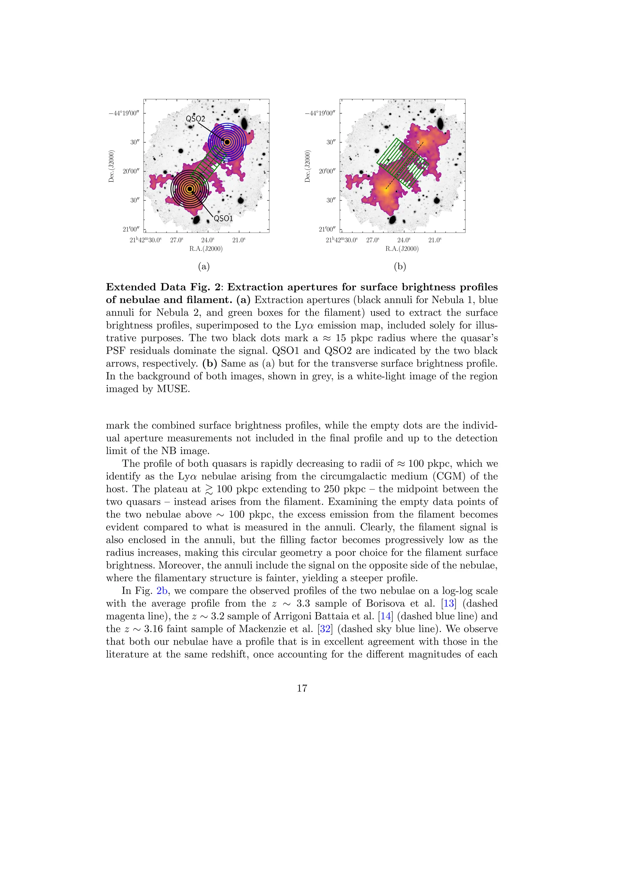 (a) (b)
Extended Data Fig. 2: Extraction apertures for surface brightness profiles
of nebulae and filament. (a) Extraction apertures (black annuli for Nebula 1, blue
annuli for Nebula 2, and green boxes for the filament) used to extract the surface
brightness profiles, superimposed to the Lyα emission map, included solely for illus-
trative purposes. The two black dots mark a ≈ 15 pkpc radius where the quasar’s
PSF residuals dominate the signal. QSO1 and QSO2 are indicated by the two black
arrows, respectively. (b) Same as (a) but for the transverse surface brightness profile.
In the background of both images, shown in grey, is a white-light image of the region
imaged by MUSE.
mark the combined surface brightness profiles, while the empty dots are the individ-
ual aperture measurements not included in the final profile and up to the detection
limit of the NB image.
The profile of both quasars is rapidly decreasing to radii of ≈ 100 pkpc, which we
identify as the Lyα nebulae arising from the circumgalactic medium (CGM) of the
host. The plateau at ≳ 100 pkpc extending to 250 pkpc – the midpoint between the
two quasars – instead arises from the filament. Examining the empty data points of
the two nebulae above ∼ 100 pkpc, the excess emission from the filament becomes
evident compared to what is measured in the annuli. Clearly, the filament signal is
also enclosed in the annuli, but the filling factor becomes progressively low as the
radius increases, making this circular geometry a poor choice for the filament surface
brightness. Moreover, the annuli include the signal on the opposite side of the nebulae,
where the filamentary structure is fainter, yielding a steeper profile.
In Fig. 2b, we compare the observed profiles of the two nebulae on a log-log scale
with the average profile from the z ∼ 3.3 sample of Borisova et al. [13] (dashed
magenta line), the z ∼ 3.2 sample of Arrigoni Battaia et al. [14] (dashed blue line) and
the z ∼ 3.16 faint sample of Mackenzie et al. [32] (dashed sky blue line). We observe
that both our nebulae have a profile that is in excellent agreement with those in the
literature at the same redshift, once accounting for the different magnitudes of each
17
 