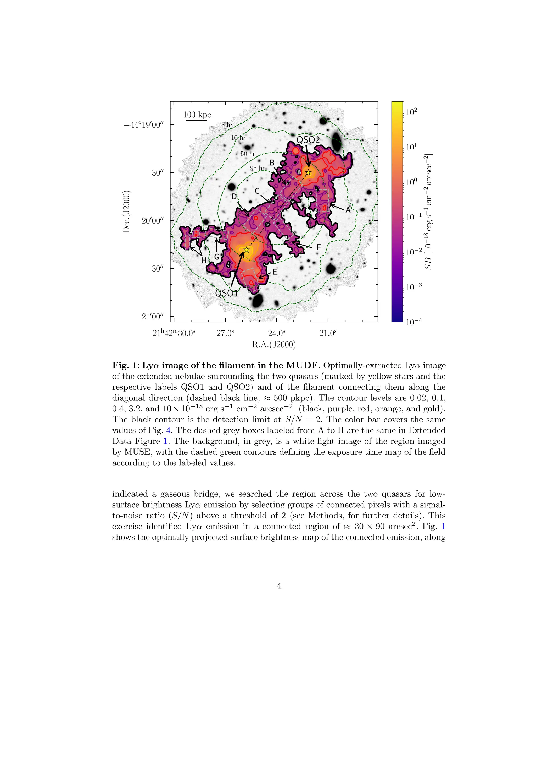 21h
42m
30.0s
27.0s
24.0s
21.0s
−44◦
190
0000
3000
200
0000
3000
210
0000
R.A.(J2000)
Dec.(J2000) 3 hr
10 hr
50 hr
95 hr
100 kpc
QSO1
QSO2
10−4
10−3
10−2
10−1
100
101
102
SB
[10
−18
erg
s
−1
cm
−2
arcsec
−2
]
Fig. 1: Lyα image of the filament in the MUDF. Optimally-extracted Lyα image
of the extended nebulae surrounding the two quasars (marked by yellow stars and the
respective labels QSO1 and QSO2) and of the filament connecting them along the
diagonal direction (dashed black line, ≈ 500 pkpc). The contour levels are 0.02, 0.1,
0.4, 3.2, and 10×10−18
erg s−1
cm−2
arcsec−2
(black, purple, red, orange, and gold).
The black contour is the detection limit at S/N = 2. The color bar covers the same
values of Fig. 4. The dashed grey boxes labeled from A to H are the same in Extended
Data Figure 1. The background, in grey, is a white-light image of the region imaged
by MUSE, with the dashed green contours defining the exposure time map of the field
according to the labeled values.
indicated a gaseous bridge, we searched the region across the two quasars for low-
surface brightness Lyα emission by selecting groups of connected pixels with a signal-
to-noise ratio (S/N) above a threshold of 2 (see Methods, for further details). This
exercise identified Lyα emission in a connected region of ≈ 30 × 90 arcsec2
. Fig. 1
shows the optimally projected surface brightness map of the connected emission, along
4
 