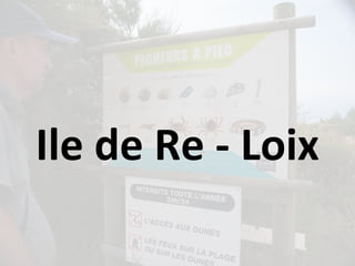 Ile de Re - Loix
 