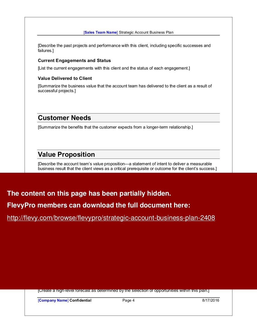 Strategic Account Business Plan