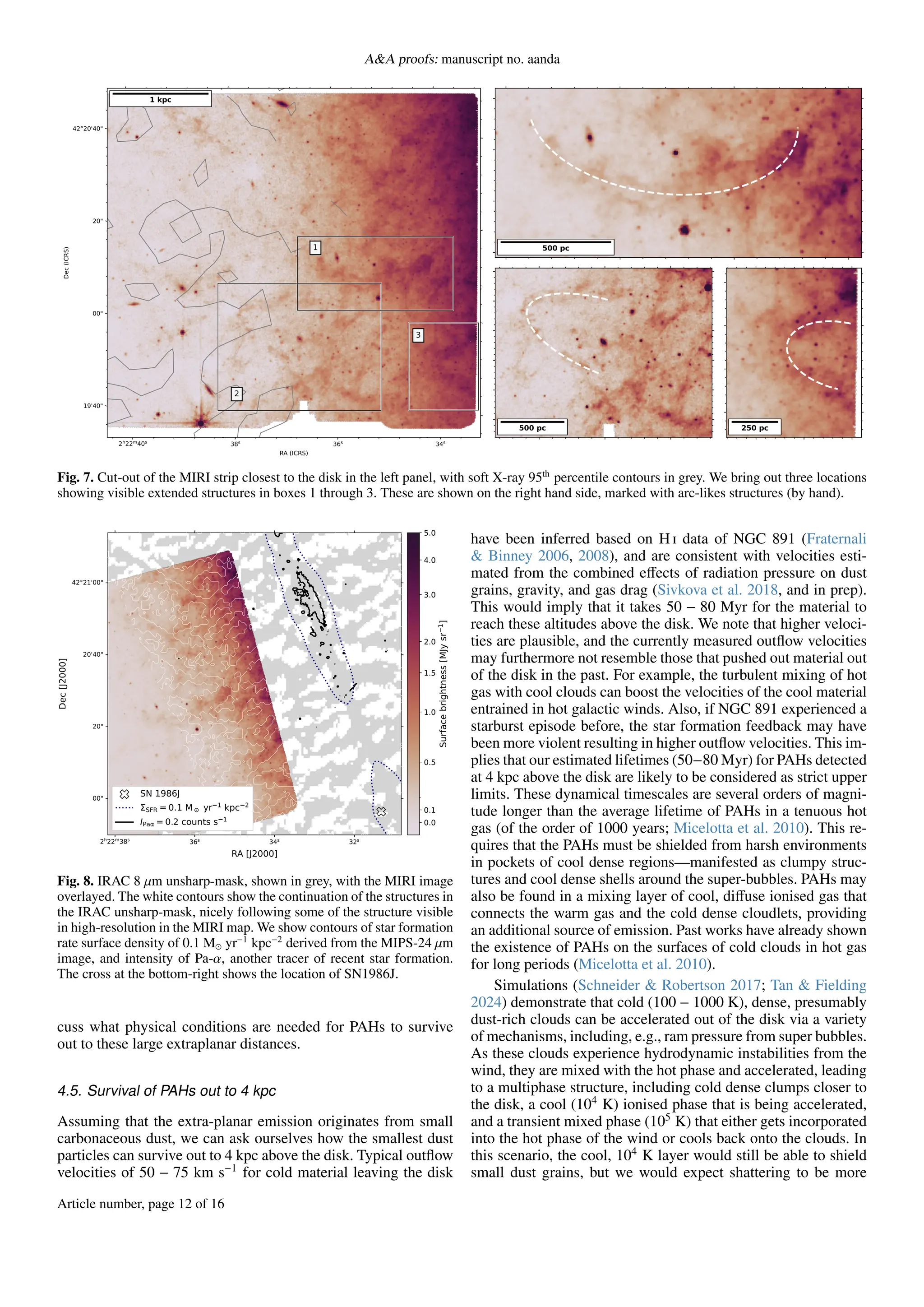 A&A proofs: manuscript no. aanda
2h22m40s 38s 36s 34s
42°20'40"
20"
00"
19'40"
RA (ICRS)
Dec
(ICRS)
2
3
1
1 kpc
500 pc 250 pc
500 pc
Fig. 7. Cut-out of the MIRI strip closest to the disk in the left panel, with soft X-ray 95th
percentile contours in grey. We bring out three locations
showing visible extended structures in boxes 1 through 3. These are shown on the right hand side, marked with arc-likes structures (by hand).
2h22m38s 36s 34s 32s
42°21'00"
20'40"
20"
00"
RA [J2000]
Dec
[J2000]
SN 1986J
SFR =0.1 M yr 1 kpc 2
IPa =0.2 counts s 1 0.0
0.1
0.5
1.0
1.5
2.0
3.0
4.0
5.0
Surface
brightness
[MJy
sr
1
]
Fig. 8. IRAC 8 µm unsharp-mask, shown in grey, with the MIRI image
overlayed. The white contours show the continuation of the structures in
the IRAC unsharp-mask, nicely following some of the structure visible
in high-resolution in the MIRI map. We show contours of star formation
rate surface density of 0.1 M⊙ yr−1
kpc−2
derived from the MIPS-24 µm
image, and intensity of Pa-α, another tracer of recent star formation.
The cross at the bottom-right shows the location of SN1986J.
cuss what physical conditions are needed for PAHs to survive
out to these large extraplanar distances.
4.5. Survival of PAHs out to 4 kpc
Assuming that the extra-planar emission originates from small
carbonaceous dust, we can ask ourselves how the smallest dust
particles can survive out to 4 kpc above the disk. Typical outflow
velocities of 50 − 75 km s−1
for cold material leaving the disk
have been inferred based on H i data of NGC 891 (Fraternali
& Binney 2006, 2008), and are consistent with velocities esti-
mated from the combined effects of radiation pressure on dust
grains, gravity, and gas drag (Sivkova et al. 2018, and in prep).
This would imply that it takes 50 − 80 Myr for the material to
reach these altitudes above the disk. We note that higher veloci-
ties are plausible, and the currently measured outflow velocities
may furthermore not resemble those that pushed out material out
of the disk in the past. For example, the turbulent mixing of hot
gas with cool clouds can boost the velocities of the cool material
entrained in hot galactic winds. Also, if NGC 891 experienced a
starburst episode before, the star formation feedback may have
been more violent resulting in higher outflow velocities. This im-
plies that our estimated lifetimes (50−80 Myr) for PAHs detected
at 4 kpc above the disk are likely to be considered as strict upper
limits. These dynamical timescales are several orders of magni-
tude longer than the average lifetime of PAHs in a tenuous hot
gas (of the order of 1000 years; Micelotta et al. 2010). This re-
quires that the PAHs must be shielded from harsh environments
in pockets of cool dense regions—manifested as clumpy struc-
tures and cool dense shells around the super-bubbles. PAHs may
also be found in a mixing layer of cool, diffuse ionised gas that
connects the warm gas and the cold dense cloudlets, providing
an additional source of emission. Past works have already shown
the existence of PAHs on the surfaces of cold clouds in hot gas
for long periods (Micelotta et al. 2010).
Simulations (Schneider & Robertson 2017; Tan & Fielding
2024) demonstrate that cold (100 − 1000 K), dense, presumably
dust-rich clouds can be accelerated out of the disk via a variety
of mechanisms, including, e.g., ram pressure from super bubbles.
As these clouds experience hydrodynamic instabilities from the
wind, they are mixed with the hot phase and accelerated, leading
to a multiphase structure, including cold dense clumps closer to
the disk, a cool (104
K) ionised phase that is being accelerated,
and a transient mixed phase (105
K) that either gets incorporated
into the hot phase of the wind or cools back onto the clouds. In
this scenario, the cool, 104
K layer would still be able to shield
small dust grains, but we would expect shattering to be more
Article number, page 12 of 16
 