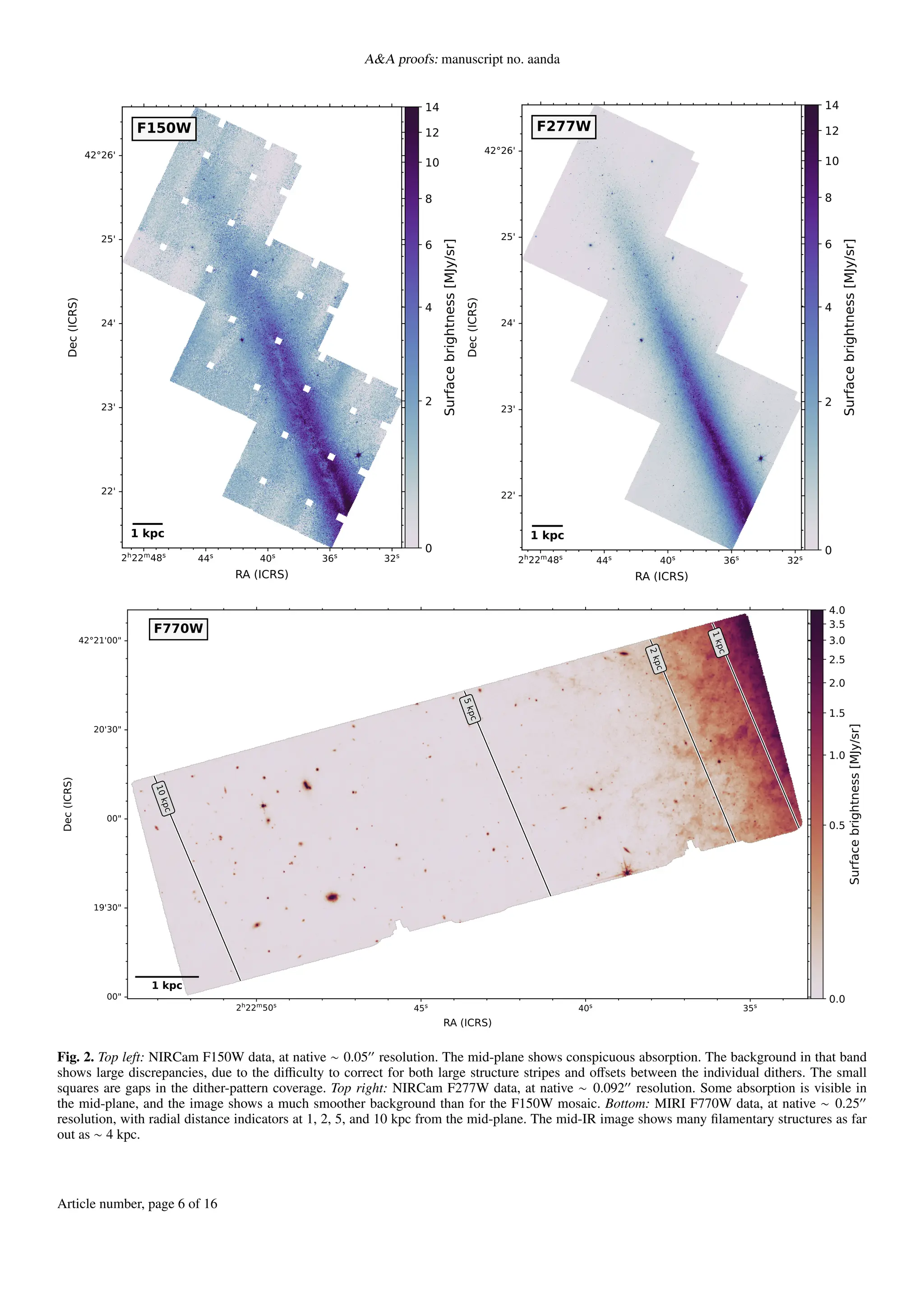 A&A proofs: manuscript no. aanda
2h22m48s 44s 40s 36s 32s
42°26'
25'
24'
23'
22'
RA (ICRS)
Dec
(ICRS)
F150W
1 kpc
0
2
4
6
8
10
12
14
Surface
brightness
[MJy/sr]
2h22m48s 44s 40s 36s 32s
42°26'
25'
24'
23'
22'
RA (ICRS)
Dec
(ICRS)
F277W
1 kpc
0
2
4
6
8
10
12
14
Surface
brightness
[MJy/sr]
2h22m50s 45s 40s 35s
42°21'00"
20'30"
00"
19'30"
00"
RA (ICRS)
Dec
(ICRS)
1
k
p
c
2
k
p
c
5
k
p
c
1
0
k
p
c
F770W
1 kpc
0.0
0.5
1.0
1.5
2.0
2.5
3.0
3.5
4.0
Surface
brightness
[MJy/sr]
Fig. 2. Top left: NIRCam F150W data, at native ∼ 0.05′′
resolution. The mid-plane shows conspicuous absorption. The background in that band
shows large discrepancies, due to the difficulty to correct for both large structure stripes and offsets between the individual dithers. The small
squares are gaps in the dither-pattern coverage. Top right: NIRCam F277W data, at native ∼ 0.092′′
resolution. Some absorption is visible in
the mid-plane, and the image shows a much smoother background than for the F150W mosaic. Bottom: MIRI F770W data, at native ∼ 0.25′′
resolution, with radial distance indicators at 1, 2, 5, and 10 kpc from the mid-plane. The mid-IR image shows many filamentary structures as far
out as ∼ 4 kpc.
Article number, page 6 of 16
 