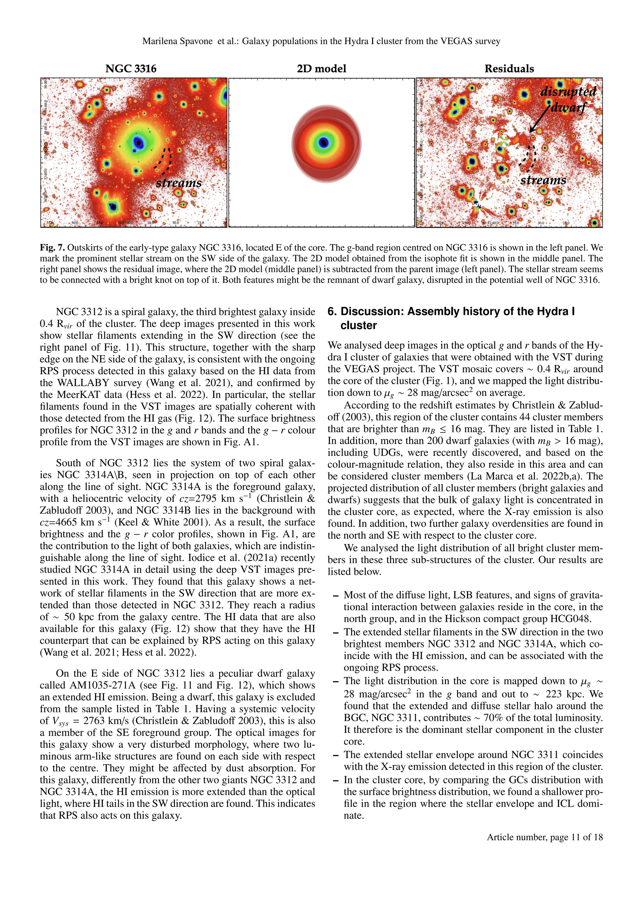 Marilena Spavone et al.: Galaxy populations in the Hydra I cluster from the VEGAS survey
Fig. 7. Outskirts of the early-type galaxy NGC 3316, located E of the core. The g-band region centred on NGC 3316 is shown in the left panel. We
mark the prominent stellar stream on the SW side of the galaxy. The 2D model obtained from the isophote fit is shown in the middle panel. The
right panel shows the residual image, where the 2D model (middle panel) is subtracted from the parent image (left panel). The stellar stream seems
to be connected with a bright knot on top of it. Both features might be the remnant of dwarf galaxy, disrupted in the potential well of NGC 3316.
NGC 3312 is a spiral galaxy, the third brightest galaxy inside
0.4 Rvir of the cluster. The deep images presented in this work
show stellar filaments extending in the SW direction (see the
right panel of Fig. 11). This structure, together with the sharp
edge on the NE side of the galaxy, is consistent with the ongoing
RPS process detected in this galaxy based on the HI data from
the WALLABY survey (Wang et al. 2021), and confirmed by
the MeerKAT data (Hess et al. 2022). In particular, the stellar
filaments found in the VST images are spatially coherent with
those detected from the HI gas (Fig. 12). The surface brightness
profiles for NGC 3312 in the g and r bands and the g − r colour
profile from the VST images are shown in Fig. A1.
South of NGC 3312 lies the system of two spiral galax-
ies NGC 3314AB, seen in projection on top of each other
along the line of sight. NGC 3314A is the foreground galaxy,
with a heliocentric velocity of cz=2795 km s−1
(Christlein &
Zabludoff 2003), and NGC 3314B lies in the background with
cz=4665 km s−1
(Keel & White 2001). As a result, the surface
brightness and the g − r color profiles, shown in Fig. A1, are
the contribution to the light of both galaxies, which are indistin-
guishable along the line of sight. Iodice et al. (2021a) recently
studied NGC 3314A in detail using the deep VST images pre-
sented in this work. They found that this galaxy shows a net-
work of stellar filaments in the SW direction that are more ex-
tended than those detected in NGC 3312. They reach a radius
of ∼ 50 kpc from the galaxy centre. The HI data that are also
available for this galaxy (Fig. 12) show that they have the HI
counterpart that can be explained by RPS acting on this galaxy
(Wang et al. 2021; Hess et al. 2022).
On the E side of NGC 3312 lies a peculiar dwarf galaxy
called AM1035-271A (see Fig. 11 and Fig. 12), which shows
an extended HI emission. Being a dwarf, this galaxy is excluded
from the sample listed in Table 1. Having a systemic velocity
of Vsys = 2763 km/s (Christlein & Zabludoff 2003), this is also
a member of the SE foreground group. The optical images for
this galaxy show a very disturbed morphology, where two lu-
minous arm-like structures are found on each side with respect
to the centre. They might be affected by dust absorption. For
this galaxy, differently from the other two giants NGC 3312 and
NGC 3314A, the HI emission is more extended than the optical
light, where HI tails in the SW direction are found. This indicates
that RPS also acts on this galaxy.
6. Discussion: Assembly history of the Hydra I
cluster
We analysed deep images in the optical g and r bands of the Hy-
dra I cluster of galaxies that were obtained with the VST during
the VEGAS project. The VST mosaic covers ∼ 0.4 Rvir around
the core of the cluster (Fig. 1), and we mapped the light distribu-
tion down to µg ∼ 28 mag/arcsec2
on average.
According to the redshift estimates by Christlein & Zablud-
off (2003), this region of the cluster contains 44 cluster members
that are brighter than mB ≤ 16 mag. They are listed in Table 1.
In addition, more than 200 dwarf galaxies (with mB > 16 mag),
including UDGs, were recently discovered, and based on the
colour-magnitude relation, they also reside in this area and can
be considered cluster members (La Marca et al. 2022b,a). The
projected distribution of all cluster members (bright galaxies and
dwarfs) suggests that the bulk of galaxy light is concentrated in
the cluster core, as expected, where the X-ray emission is also
found. In addition, two further galaxy overdensities are found in
the north and SE with respect to the cluster core.
We analysed the light distribution of all bright cluster mem-
bers in these three sub-structures of the cluster. Our results are
listed below.
– Most of the diffuse light, LSB features, and signs of gravita-
tional interaction between galaxies reside in the core, in the
north group, and in the Hickson compact group HCG048.
– The extended stellar filaments in the SW direction in the two
brightest members NGC 3312 and NGC 3314A, which co-
incide with the HI emission, and can be associated with the
ongoing RPS process.
– The light distribution in the core is mapped down to µg ∼
28 mag/arcsec2
in the g band and out to ∼ 223 kpc. We
found that the extended and diffuse stellar halo around the
BGC, NGC 3311, contributes ∼ 70% of the total luminosity.
It therefore is the dominant stellar component in the cluster
core.
– The extended stellar envelope around NGC 3311 coincides
with the X-ray emission detected in this region of the cluster.
– In the cluster core, by comparing the GCs distribution with
the surface brightness distribution, we found a shallower pro-
file in the region where the stellar envelope and ICL domi-
nate.
Article number, page 11 of 18
 