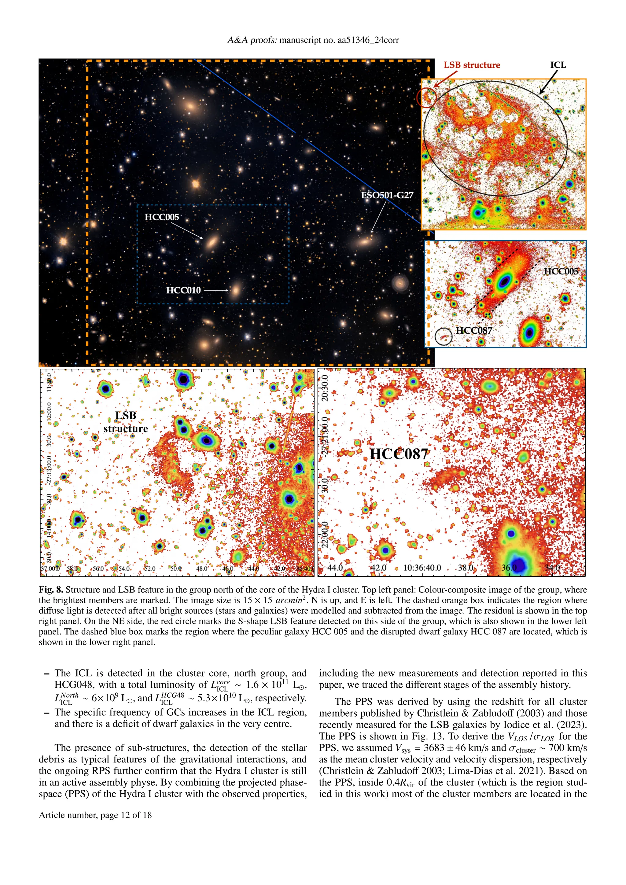 A&A proofs: manuscript no. aa51346_24corr
Fig. 8. Structure and LSB feature in the group north of the core of the Hydra I cluster. Top left panel: Colour-composite image of the group, where
the brightest members are marked. The image size is 15 × 15 arcmin2
. N is up, and E is left. The dashed orange box indicates the region where
diffuse light is detected after all bright sources (stars and galaxies) were modelled and subtracted from the image. The residual is shown in the top
right panel. On the NE side, the red circle marks the S-shape LSB feature detected on this side of the group, which is also shown in the lower left
panel. The dashed blue box marks the region where the peculiar galaxy HCC 005 and the disrupted dwarf galaxy HCC 087 are located, which is
shown in the lower right panel.
– The ICL is detected in the cluster core, north group, and
HCG048, with a total luminosity of Lcore
ICL ∼ 1.6 × 1011
L⊙,
LNorth
ICL ∼ 6×109
L⊙, and LHCG48
ICL ∼ 5.3×1010
L⊙, respectively.
– The specific frequency of GCs increases in the ICL region,
and there is a deficit of dwarf galaxies in the very centre.
The presence of sub-structures, the detection of the stellar
debris as typical features of the gravitational interactions, and
the ongoing RPS further confirm that the Hydra I cluster is still
in an active assembly physe. By combining the projected phase-
space (PPS) of the Hydra I cluster with the observed properties,
including the new measurements and detection reported in this
paper, we traced the different stages of the assembly history.
The PPS was derived by using the redshift for all cluster
members published by Christlein & Zabludoff (2003) and those
recently measured for the LSB galaxies by Iodice et al. (2023).
The PPS is shown in Fig. 13. To derive the VLOS /σLOS for the
PPS, we assumed Vsys = 3683 ± 46 km/s and σcluster ∼ 700 km/s
as the mean cluster velocity and velocity dispersion, respectively
(Christlein & Zabludoff 2003; Lima-Dias et al. 2021). Based on
the PPS, inside 0.4Rvir of the cluster (which is the region stud-
ied in this work) most of the cluster members are located in the
Article number, page 12 of 18
 