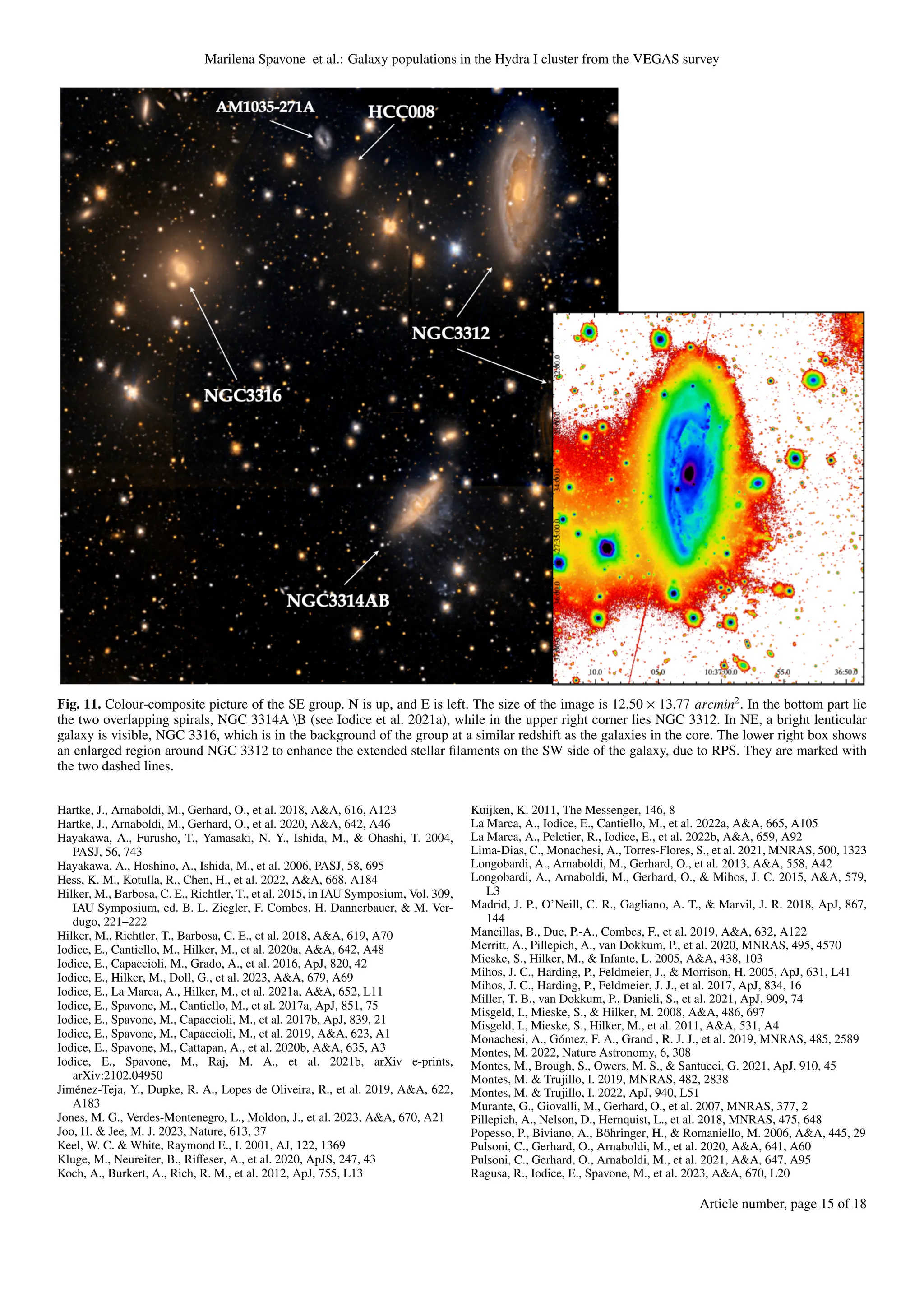 Marilena Spavone et al.: Galaxy populations in the Hydra I cluster from the VEGAS survey
Fig. 11. Colour-composite picture of the SE group. N is up, and E is left. The size of the image is 12.50 × 13.77 arcmin2
. In the bottom part lie
the two overlapping spirals, NGC 3314A B (see Iodice et al. 2021a), while in the upper right corner lies NGC 3312. In NE, a bright lenticular
galaxy is visible, NGC 3316, which is in the background of the group at a similar redshift as the galaxies in the core. The lower right box shows
an enlarged region around NGC 3312 to enhance the extended stellar filaments on the SW side of the galaxy, due to RPS. They are marked with
the two dashed lines.
Hartke, J., Arnaboldi, M., Gerhard, O., et al. 2018, A&A, 616, A123
Hartke, J., Arnaboldi, M., Gerhard, O., et al. 2020, A&A, 642, A46
Hayakawa, A., Furusho, T., Yamasaki, N. Y., Ishida, M., & Ohashi, T. 2004,
PASJ, 56, 743
Hayakawa, A., Hoshino, A., Ishida, M., et al. 2006, PASJ, 58, 695
Hess, K. M., Kotulla, R., Chen, H., et al. 2022, A&A, 668, A184
Hilker, M., Barbosa, C. E., Richtler, T., et al. 2015, in IAU Symposium, Vol. 309,
IAU Symposium, ed. B. L. Ziegler, F. Combes, H. Dannerbauer, & M. Ver-
dugo, 221–222
Hilker, M., Richtler, T., Barbosa, C. E., et al. 2018, A&A, 619, A70
Iodice, E., Cantiello, M., Hilker, M., et al. 2020a, A&A, 642, A48
Iodice, E., Capaccioli, M., Grado, A., et al. 2016, ApJ, 820, 42
Iodice, E., Hilker, M., Doll, G., et al. 2023, A&A, 679, A69
Iodice, E., La Marca, A., Hilker, M., et al. 2021a, A&A, 652, L11
Iodice, E., Spavone, M., Cantiello, M., et al. 2017a, ApJ, 851, 75
Iodice, E., Spavone, M., Capaccioli, M., et al. 2017b, ApJ, 839, 21
Iodice, E., Spavone, M., Capaccioli, M., et al. 2019, A&A, 623, A1
Iodice, E., Spavone, M., Cattapan, A., et al. 2020b, A&A, 635, A3
Iodice, E., Spavone, M., Raj, M. A., et al. 2021b, arXiv e-prints,
arXiv:2102.04950
Jiménez-Teja, Y., Dupke, R. A., Lopes de Oliveira, R., et al. 2019, A&A, 622,
A183
Jones, M. G., Verdes-Montenegro, L., Moldon, J., et al. 2023, A&A, 670, A21
Joo, H. & Jee, M. J. 2023, Nature, 613, 37
Keel, W. C. & White, Raymond E., I. 2001, AJ, 122, 1369
Kluge, M., Neureiter, B., Riffeser, A., et al. 2020, ApJS, 247, 43
Koch, A., Burkert, A., Rich, R. M., et al. 2012, ApJ, 755, L13
Kuijken, K. 2011, The Messenger, 146, 8
La Marca, A., Iodice, E., Cantiello, M., et al. 2022a, A&A, 665, A105
La Marca, A., Peletier, R., Iodice, E., et al. 2022b, A&A, 659, A92
Lima-Dias, C., Monachesi, A., Torres-Flores, S., et al. 2021, MNRAS, 500, 1323
Longobardi, A., Arnaboldi, M., Gerhard, O., et al. 2013, A&A, 558, A42
Longobardi, A., Arnaboldi, M., Gerhard, O., & Mihos, J. C. 2015, A&A, 579,
L3
Madrid, J. P., O’Neill, C. R., Gagliano, A. T., & Marvil, J. R. 2018, ApJ, 867,
144
Mancillas, B., Duc, P.-A., Combes, F., et al. 2019, A&A, 632, A122
Merritt, A., Pillepich, A., van Dokkum, P., et al. 2020, MNRAS, 495, 4570
Mieske, S., Hilker, M., & Infante, L. 2005, A&A, 438, 103
Mihos, J. C., Harding, P., Feldmeier, J., & Morrison, H. 2005, ApJ, 631, L41
Mihos, J. C., Harding, P., Feldmeier, J. J., et al. 2017, ApJ, 834, 16
Miller, T. B., van Dokkum, P., Danieli, S., et al. 2021, ApJ, 909, 74
Misgeld, I., Mieske, S., & Hilker, M. 2008, A&A, 486, 697
Misgeld, I., Mieske, S., Hilker, M., et al. 2011, A&A, 531, A4
Monachesi, A., Gómez, F. A., Grand , R. J. J., et al. 2019, MNRAS, 485, 2589
Montes, M. 2022, Nature Astronomy, 6, 308
Montes, M., Brough, S., Owers, M. S., & Santucci, G. 2021, ApJ, 910, 45
Montes, M. & Trujillo, I. 2019, MNRAS, 482, 2838
Montes, M. & Trujillo, I. 2022, ApJ, 940, L51
Murante, G., Giovalli, M., Gerhard, O., et al. 2007, MNRAS, 377, 2
Pillepich, A., Nelson, D., Hernquist, L., et al. 2018, MNRAS, 475, 648
Popesso, P., Biviano, A., Böhringer, H., & Romaniello, M. 2006, A&A, 445, 29
Pulsoni, C., Gerhard, O., Arnaboldi, M., et al. 2020, A&A, 641, A60
Pulsoni, C., Gerhard, O., Arnaboldi, M., et al. 2021, A&A, 647, A95
Ragusa, R., Iodice, E., Spavone, M., et al. 2023, A&A, 670, L20
Article number, page 15 of 18
 