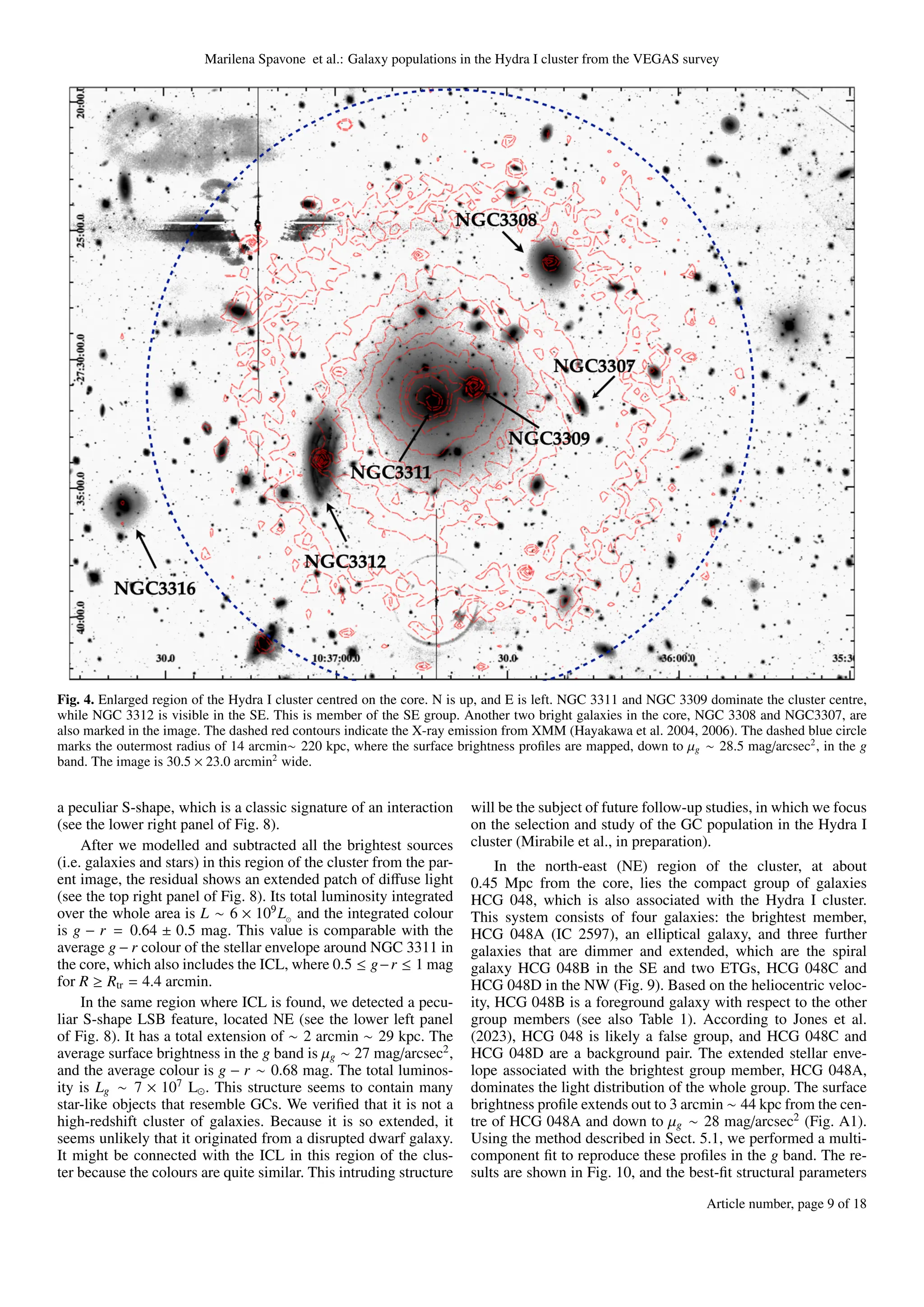 Marilena Spavone et al.: Galaxy populations in the Hydra I cluster from the VEGAS survey
Fig. 4. Enlarged region of the Hydra I cluster centred on the core. N is up, and E is left. NGC 3311 and NGC 3309 dominate the cluster centre,
while NGC 3312 is visible in the SE. This is member of the SE group. Another two bright galaxies in the core, NGC 3308 and NGC3307, are
also marked in the image. The dashed red contours indicate the X-ray emission from XMM (Hayakawa et al. 2004, 2006). The dashed blue circle
marks the outermost radius of 14 arcmin∼ 220 kpc, where the surface brightness profiles are mapped, down to µg ∼ 28.5 mag/arcsec2
, in the g
band. The image is 30.5 × 23.0 arcmin2
wide.
a peculiar S-shape, which is a classic signature of an interaction
(see the lower right panel of Fig. 8).
After we modelled and subtracted all the brightest sources
(i.e. galaxies and stars) in this region of the cluster from the par-
ent image, the residual shows an extended patch of diffuse light
(see the top right panel of Fig. 8). Its total luminosity integrated
over the whole area is L ∼ 6 × 109
L⊙
and the integrated colour
is g − r = 0.64 ± 0.5 mag. This value is comparable with the
average g − r colour of the stellar envelope around NGC 3311 in
the core, which also includes the ICL, where 0.5 ≤ g−r ≤ 1 mag
for R ≥ Rtr = 4.4 arcmin.
In the same region where ICL is found, we detected a pecu-
liar S-shape LSB feature, located NE (see the lower left panel
of Fig. 8). It has a total extension of ∼ 2 arcmin ∼ 29 kpc. The
average surface brightness in the g band is µg ∼ 27 mag/arcsec2
,
and the average colour is g − r ∼ 0.68 mag. The total luminos-
ity is Lg ∼ 7 × 107
L⊙. This structure seems to contain many
star-like objects that resemble GCs. We verified that it is not a
high-redshift cluster of galaxies. Because it is so extended, it
seems unlikely that it originated from a disrupted dwarf galaxy.
It might be connected with the ICL in this region of the clus-
ter because the colours are quite similar. This intruding structure
will be the subject of future follow-up studies, in which we focus
on the selection and study of the GC population in the Hydra I
cluster (Mirabile et al., in preparation).
In the north-east (NE) region of the cluster, at about
0.45 Mpc from the core, lies the compact group of galaxies
HCG 048, which is also associated with the Hydra I cluster.
This system consists of four galaxies: the brightest member,
HCG 048A (IC 2597), an elliptical galaxy, and three further
galaxies that are dimmer and extended, which are the spiral
galaxy HCG 048B in the SE and two ETGs, HCG 048C and
HCG 048D in the NW (Fig. 9). Based on the heliocentric veloc-
ity, HCG 048B is a foreground galaxy with respect to the other
group members (see also Table 1). According to Jones et al.
(2023), HCG 048 is likely a false group, and HCG 048C and
HCG 048D are a background pair. The extended stellar enve-
lope associated with the brightest group member, HCG 048A,
dominates the light distribution of the whole group. The surface
brightness profile extends out to 3 arcmin ∼ 44 kpc from the cen-
tre of HCG 048A and down to µg ∼ 28 mag/arcsec2
(Fig. A1).
Using the method described in Sect. 5.1, we performed a multi-
component fit to reproduce these profiles in the g band. The re-
sults are shown in Fig. 10, and the best-fit structural parameters
Article number, page 9 of 18
 