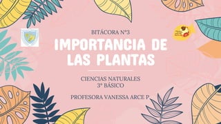 IMPORTANCIA DE
LAS PLANTAS
CIENCIAS NATURALES
3° BÁSICO
BITÁCORA N°3
PROFESORA VANESSA ARCE P.
 