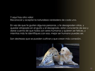 Y aquí hay otro valor: 
Reconocer y aceptar la naturaleza verdadera de cada uno. 
En vez de que te gusten algunas personas, y te desagraden otras, y 
quedar atrapado en el gusto y el desagrado, estar consciente de eso y 
darse cuenta de que todos son seres humanos y quieren ser felices, y 
mientras más te identifiques con eso, mejor ser humano puedes ser. 
Son destrezas que se pueden cultivar y que crean más conexión. 
 