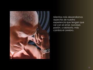 Mientras más desarrollamos 
aspectos de nuestra 
experiencia que tengan que 
ver con el amor, bondad, 
pasión, y sabiduría, más 
cambia el cerebro. 
 