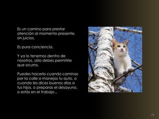 Es un camino para prestar 
atención al momento presente, 
sin juicios. 
Es pura conciencia. 
Y ya lo tenemos dentro de 
nosotros, sólo debes permitirle 
que ocurra. 
Puedes hacerlo cuando caminas 
por la calle o manejas tu auto, o 
cuando les dices buenos días a 
tus hijos, o preparas el desayuno, 
o estás en el trabajo... 
 