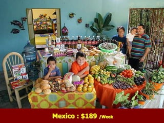 Mexico : $189 /Week
 