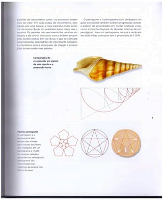 Geometria do Design