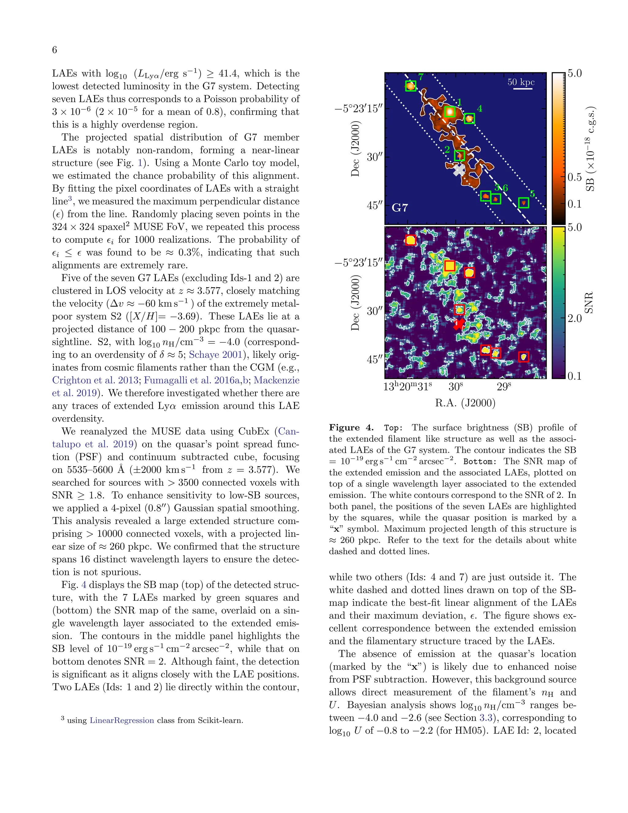 6
LAEs with log10 (LLyα/erg s−1
) ≥ 41.4, which is the
lowest detected luminosity in the G7 system. Detecting
seven LAEs thus corresponds to a Poisson probability of
3 × 10−6
(2 × 10−5
for a mean of 0.8), confirming that
this is a highly overdense region.
The projected spatial distribution of G7 member
LAEs is notably non-random, forming a near-linear
structure (see Fig. 1). Using a Monte Carlo toy model,
we estimated the chance probability of this alignment.
By fitting the pixel coordinates of LAEs with a straight
line3
, we measured the maximum perpendicular distance
(ϵ) from the line. Randomly placing seven points in the
324 × 324 spaxel2
MUSE FoV, we repeated this process
to compute ϵi for 1000 realizations. The probability of
ϵi ≤ ϵ was found to be ≈ 0.3%, indicating that such
alignments are extremely rare.
Five of the seven G7 LAEs (excluding Ids-1 and 2) are
clustered in LOS velocity at z ≈ 3.577, closely matching
the velocity (∆v ≈ −60 km s−1
) of the extremely metal-
poor system S2 ([X/H]= −3.69). These LAEs lie at a
projected distance of 100 − 200 pkpc from the quasar-
sightline. S2, with log10 nH/cm−3
= −4.0 (correspond-
ing to an overdensity of δ ≈ 5; Schaye 2001), likely orig-
inates from cosmic filaments rather than the CGM (e.g.,
Crighton et al. 2013; Fumagalli et al. 2016a,b; Mackenzie
et al. 2019). We therefore investigated whether there are
any traces of extended Lyα emission around this LAE
overdensity.
We reanalyzed the MUSE data using CubEx (Can-
talupo et al. 2019) on the quasar’s point spread func-
tion (PSF) and continuum subtracted cube, focusing
on 5535–5600 Å (±2000 km s−1
from z = 3.577). We
searched for sources with > 3500 connected voxels with
SNR ≥ 1.8. To enhance sensitivity to low-SB sources,
we applied a 4-pixel (0.8′′
) Gaussian spatial smoothing.
This analysis revealed a large extended structure com-
prising > 10000 connected voxels, with a projected lin-
ear size of ≈ 260 pkpc. We confirmed that the structure
spans 16 distinct wavelength layers to ensure the detec-
tion is not spurious.
Fig. 4 displays the SB map (top) of the detected struc-
ture, with the 7 LAEs marked by green squares and
(bottom) the SNR map of the same, overlaid on a sin-
gle wavelength layer associated to the extended emis-
sion. The contours in the middle panel highlights the
SB level of 10−19
erg s−1
cm−2
arcsec−2
, while that on
bottom denotes SNR = 2. Although faint, the detection
is significant as it aligns closely with the LAE positions.
Two LAEs (Ids: 1 and 2) lie directly within the contour,
3 using LinearRegression class from Scikit-learn.
13h
20m
31s
30s
29s
−5◦
230
1500
3000
4500
pos.eq.ra
Dec
(J2000)
G7
50 kpc
1
2
3
4
5
6
7
0.1
0.5
5.0
SB
(×10
−18
c.g.s.)
13h
20m
31s
30s
29s
−5◦
230
1500
3000
4500
R.A. (J2000)
Dec
(J2000)
0.1
2.0
5.0
SNR
Figure 4. Top: The surface brightness (SB) profile of
the extended filament like structure as well as the associ-
ated LAEs of the G7 system. The contour indicates the SB
= 10−19
erg s−1
cm−2
arcsec−2
. Bottom: The SNR map of
the extended emission and the associated LAEs, plotted on
top of a single wavelength layer associated to the extended
emission. The white contours correspond to the SNR of 2. In
both panel, the positions of the seven LAEs are highlighted
by the squares, while the quasar position is marked by a
“x” symbol. Maximum projected length of this structure is
≈ 260 pkpc. Refer to the text for the details about white
dashed and dotted lines.
while two others (Ids: 4 and 7) are just outside it. The
white dashed and dotted lines drawn on top of the SB-
map indicate the best-fit linear alignment of the LAEs
and their maximum deviation, ϵ. The figure shows ex-
cellent correspondence between the extended emission
and the filamentary structure traced by the LAEs.
The absence of emission at the quasar’s location
(marked by the “x”) is likely due to enhanced noise
from PSF subtraction. However, this background source
allows direct measurement of the filament’s nH and
U. Bayesian analysis shows log10 nH/cm−3
ranges be-
tween −4.0 and −2.6 (see Section 3.3), corresponding to
log10 U of −0.8 to −2.2 (for HM05). LAE Id: 2, located
 