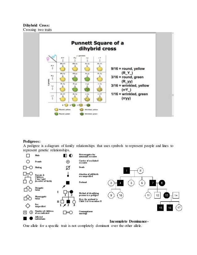 Image Result For Application Letter Phd Image Result For Application Letter Phd