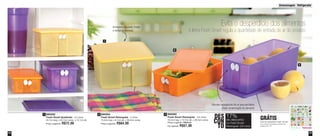 Armazenagem - Refrigerador 
33 
32 
890054 
Fresh Smart Retangular - 2 Litros 
15,2cm larg. x 8,1cm alt. x 30,4cm comp. 
Preço sugerido: R$64,00 
2 
Evita o desperdício dos alimentos 
A linha Fresh Smart regula a quantidade de entrada de ar do produto 
1 
2 
3 
Válvulas reguladoras de ar que permitem 
maior conservação do alimento 
DES 
CON 
TO 
17% 
de desconto 
no Fresh Smart 
Retangular 3,6 Litros 
3 890050 
Fresh Smart Retangular - 3,6 Litros 
15,2cm larg. x 12,7cm alt. x 30,4cm comp. 
Preço sugerido: R$69,00 
Por apenas: R$57,00 
890052 
Fresh Smart Quadrado - 4,2 Litros 
22,7cm larg. x 22,7cm comp. x 12,7cm alt. 
Preço sugerido: R$72,00 
1 
GRÁTIS 
Ímã de Geladeira Fresh Smart 
Na compra de qualquer produto das 
páginas 32 e 33 
Armazene legumes, frutas 
e verduras diversas 
 