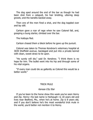 The dog sped around the end of the bar as though he had
been shot from a catapult, his hair bristling, uttering deep
growls; and the bandits backed away.
Then one of the men fired a shot, and the dog toppled over
and lay still.
Carlson gave a roar of rage when he saw Colonel fall, and,
grasping a bung starter, climbed over the bar.
The holdups fled.
Carlson chased them a block before he gave up the pursuit.
Colonel was taken to Thomas Kendrew’s veterinary hospital at
3039 Sheffield avenue, bandaged and put into a private kennel
with clean, sweet straw to lie upon.
“He surely will die,” said Dr. Kendrew. “I think there is no
hope for him. The bullet went into his hip and through some of
his vital organs.
“If every man could die as gallantly as Colonel this would be a
better world.”
TRICK MULE
Kansas City Star
If you’ve been to the horse show this week you’ve seen Henry
and Zip. Henry—his last name is Harbaugh—is 18 years old and
lives near Bedford, Mo., when he’s at home. Zip is 8 years old,
and if you don’t believe he’s the most wonderful trick mule in
the world, you’d better not mention it to Henry.
 